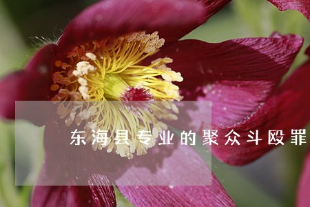东海县专业的聚众斗殴罪律师 东海县专业的聚众斗殴罪律师
