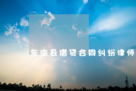 东海县借贷合同纠纷律师 东海县借贷合同纠纷律师