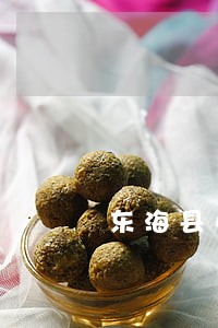 东海县小型车辆违法查询 东海县小型车辆违法查询