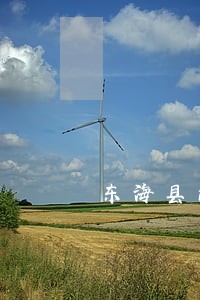 东海县消费权益在线律师咨询 东海县消费权益在线律师咨询