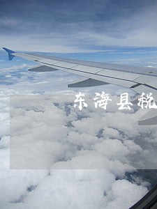 东海县税务类纠纷在线律师 东海县税务类纠纷在线律师