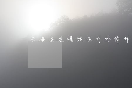 东海县遗嘱继承纠纷律师