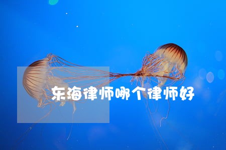 东海律师哪个律师好 东海律师哪个律师好