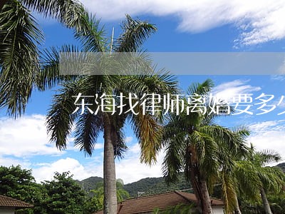东海找律师离婚要多少钱