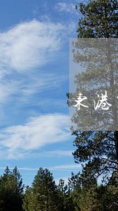 东港交友微信群 东港交友微信群
