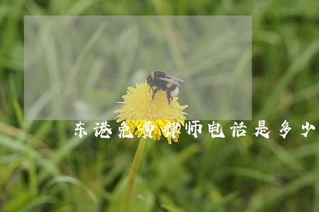 东港免费律师电话是多少 东港免费律师电话是多少