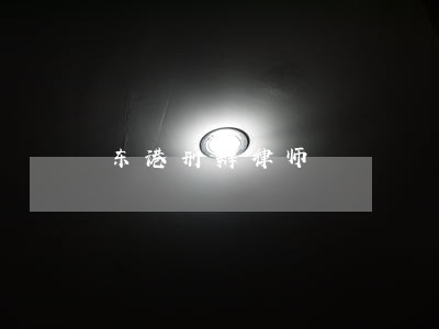 东港刑辩律师