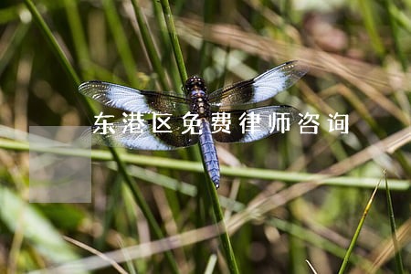 东港区免费律师咨询 东港区免费律师咨询