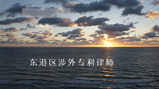 东港区涉外专利律师 东港区涉外专利律师