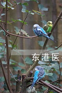 东港医疗律师 东港医疗律师