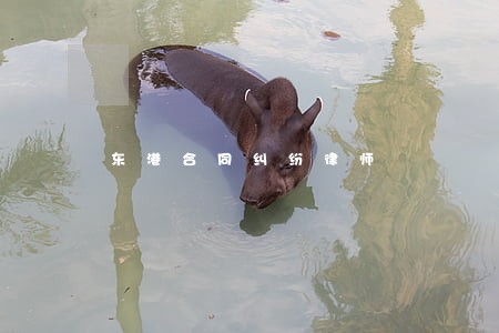东港合同纠纷律师 东港合同纠纷律师
