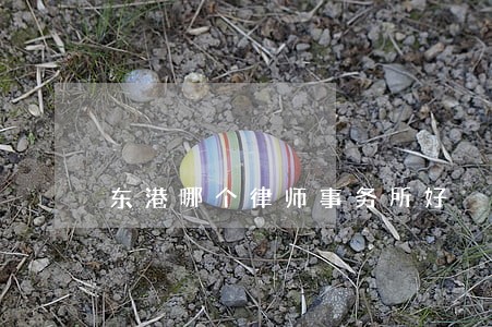 东港哪个律师事务所好 东港哪个律师事务所好