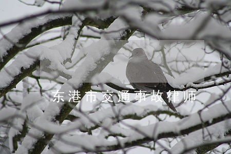 东港市交通事故律师