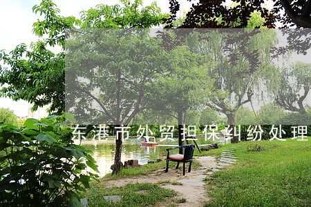 东港市外贸担保纠纷处理律师 东港市外贸担保纠纷处理律师