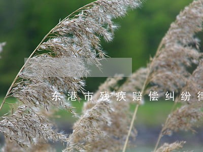 东港市残疾赔偿纠纷律师 东港市残疾赔偿纠纷律师