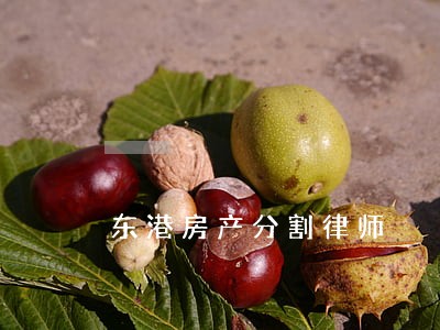 东港房产分割律师