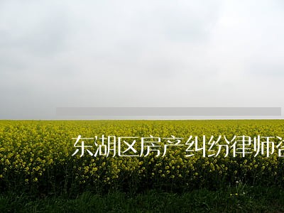 东湖区房产纠纷律师咨询电话