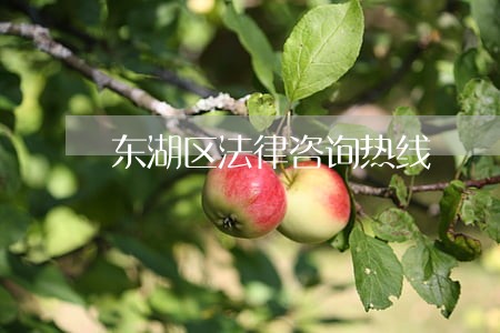 东湖区法律咨询热线 东湖区法律咨询热线