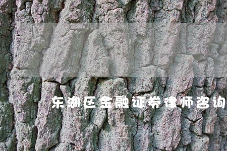 东湖区金融证券律师咨询电话 东湖区金融证券律师咨询电话