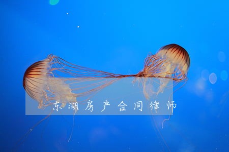 东湖房产合同律师 东湖房产合同律师