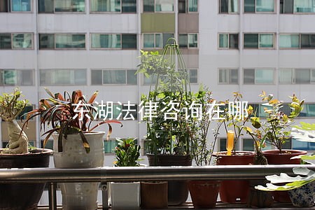 东湖法律咨询在哪 东湖法律咨询在哪
