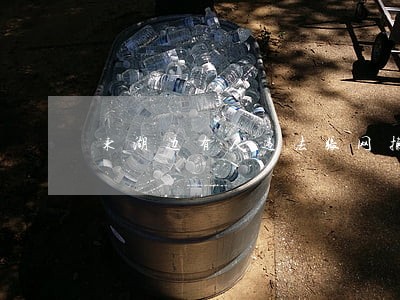 东湖边有人违法张网捕鸟 东湖边有人违法张网捕鸟
