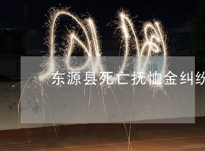 东源县死亡抚恤金纠纷律师