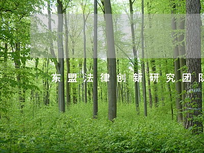 东盟法律创新研究团队介绍