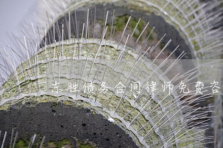东胜债务合同律师免费咨询