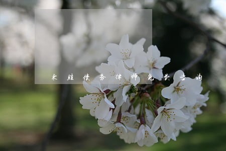 东胜债务律师免费咨询 东胜债务律师免费咨询