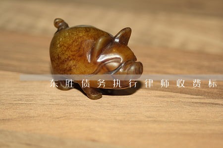 东胜债务执行律师收费标准 东胜债务执行律师收费标准