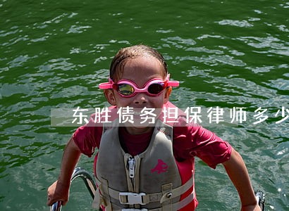 东胜债务担保律师多少钱