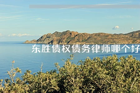 东胜债权债务律师哪个好 东胜债权债务律师哪个好