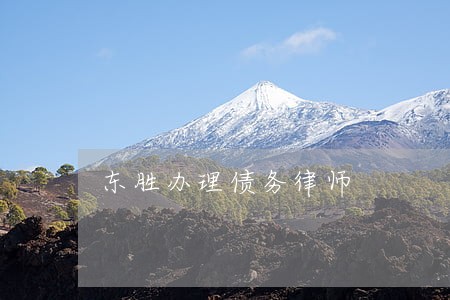东胜办理债务律师 东胜办理债务律师