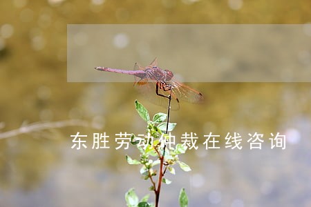 东胜劳动仲裁在线咨询 东胜劳动仲裁在线咨询