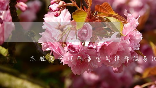 东胜区代理刑事官司律师服务优先 东胜区代理刑事官司律师服务优先