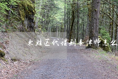 东胜区代理刑事律师怎么找 东胜区代理刑事律师怎么找