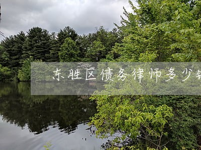 东胜区债务律师多少钱 东胜区债务律师多少钱