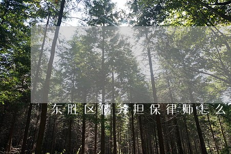 东胜区债务担保律师怎么委托