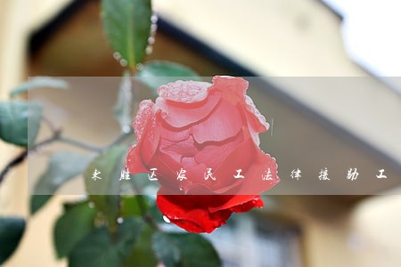 东胜区农民工法律援助工作站 东胜区农民工法律援助工作站