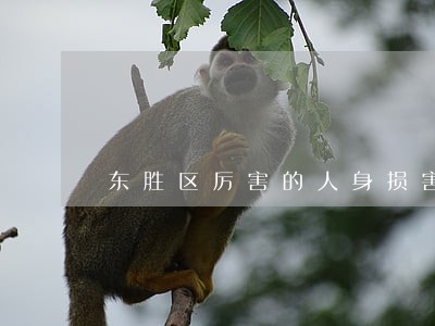 东胜区厉害的人身损害诉讼律师 东胜区厉害的人身损害诉讼律师