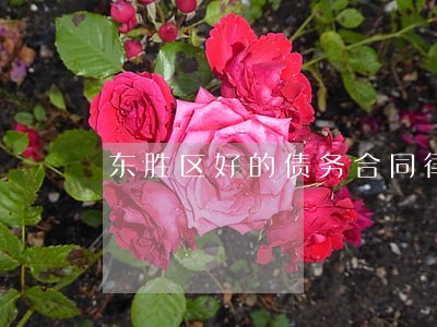 东胜区好的债务合同律师 东胜区好的债务合同律师