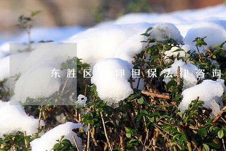 东胜区抵押担保法律咨询 东胜区抵押担保法律咨询
