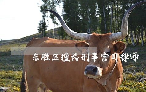 东胜区擅长刑事官司律师 东胜区擅长刑事官司律师
