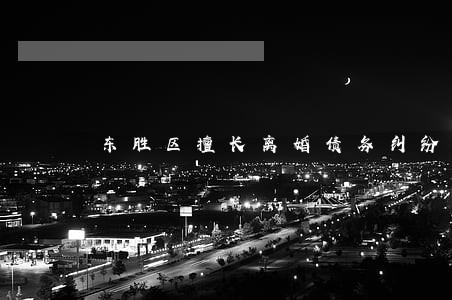 东胜区擅长离婚债务纠纷律师推荐 东胜区擅长离婚债务纠纷律师推荐