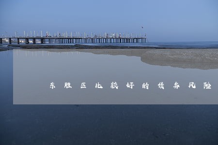 东胜区比较好的债务风险代理律师 东胜区比较好的债务风险代理律师