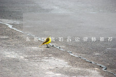 东胜区离婚诉讼律师推荐 东胜区离婚诉讼律师推荐