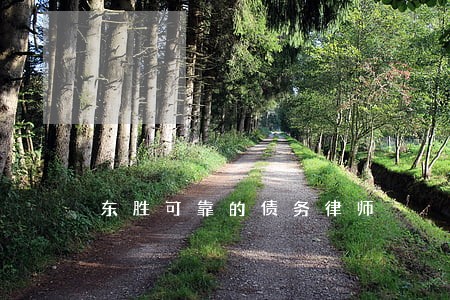 东胜可靠的债务律师