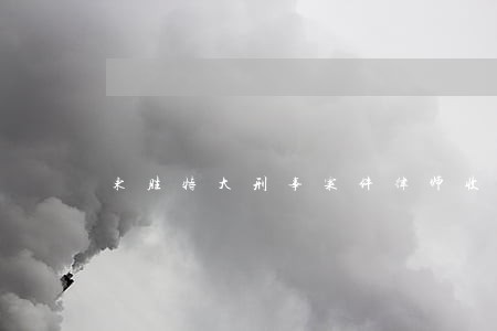 东胜特大刑事案件律师收费