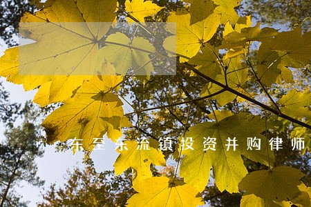 东至东流镇投资并购律师 东至东流镇投资并购律师